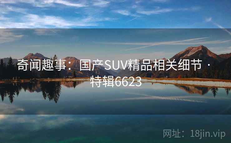 奇闻趣事：国产SUV精品相关细节 · 特辑6623