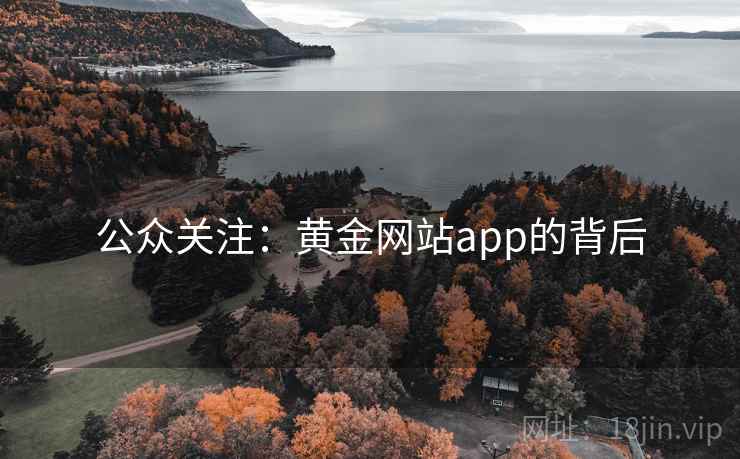 公众关注：黄金网站app的背后