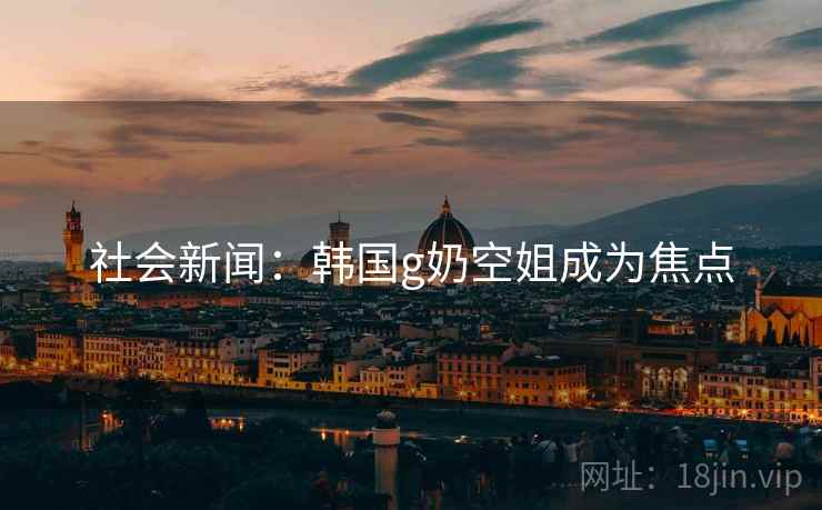 社会新闻：韩国g奶空姐成为焦点